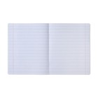 Тетрадь 12 листов в частую косую линию Calligrata «Аниме», обложка мелованный картон, ВД-лак, блок офсет, белизна 95%, МИКС - Фото 2