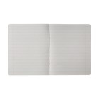 Тетрадь 12 листов в частую косую линию Однотонная "Классика с уголком", обложка мелованная бумага, ВД-лак, блок № 2 (серые листы), МИКС - фото 24567916