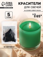 Краситель на основе соевого воска для свечей, 5 г, цвет зелёный - Фото 1