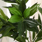 Дерево искусственное «Драцена отогнутая», h=150 см - Фото 4