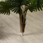 Дерево искусственное «Ливистона», h=90 см - фото 51759299