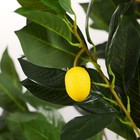 Дерево искусственное "Лимон" 140 см - фото 6994087