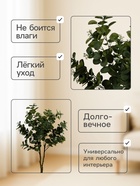 Дерево искусственное «Эвкалипт комнатный», h=120 см - Фото 2