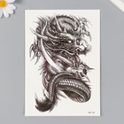 Татуировка на тело чёрная "Чёрный дракон" 15х21 см - фото 10666474