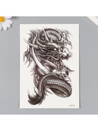 Переводная тату на тело чёрная «Чёрный дракон», 15×21 см - Фото 3