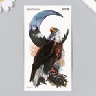 Татуировка на тело цветная "Орёл и месяц" 9х16 см - фото 319627168