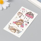 Татуировка на тело цветная "Милые котята" 6х10,5 см - фото 34648369