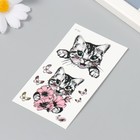 Татуировка на тело чёрная, цветная "Кошечки с цветами и бабочками" 6х10,5 см - Фото 2