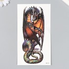 Татуировка на тело цветная "Огнедышащий дракон" 11,4х21 см - фото 281467854