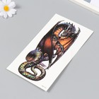 Татуировка на тело цветная "Огнедышащий дракон" 11,4х21 см - Фото 2