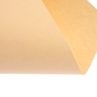 Бумага цветная Calligrata, А4, 250 листов, 10 цветов, пастель, интенсив, 80 г/м² - Фото 11