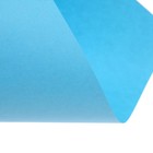 Бумага цветная Calligrata, А4, 250 листов, 10 цветов, пастель, интенсив, 80 г/м² - Фото 13