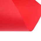 Бумага цветная Calligrata, А4, 250 листов, 10 цветов, пастель, интенсив, 80 г/м² - Фото 15