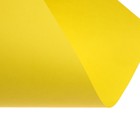 Бумага цветная Calligrata, А4, 250 листов, 10 цветов, пастель, интенсив, 80 г/м² - Фото 17