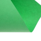 Бумага цветная Calligrata, А4, 250 листов, 10 цветов, пастель, интенсив, 80 г/м² - Фото 19