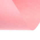 Бумага цветная Calligrata, А4, 250 листов, 10 цветов, пастель, интенсив, 80 г/м² - Фото 3