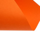 Бумага цветная Calligrata, А4, 250 листов, 10 цветов, пастель, интенсив, 80 г/м² - Фото 21