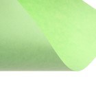 Бумага цветная Calligrata, А4, 250 листов, 10 цветов, пастель, интенсив, 80 г/м² - Фото 9