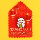 Значок талисман «На удачу, которая не светит», 2,4 х 3,3 см. - Фото 6
