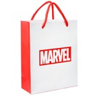 Пакет ламинированный вертикальный, 12 х 15 х 5,5 см "Marvel", Мстители - фото 6994640