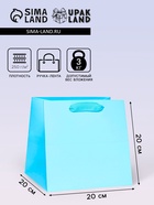 Пакет для торта и коробок, с широким дном, голубой, 20×20×20 см - Фото 1