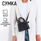 Сумка из искусственной кожи, чёрный цвет 9586700 - фото 10667886