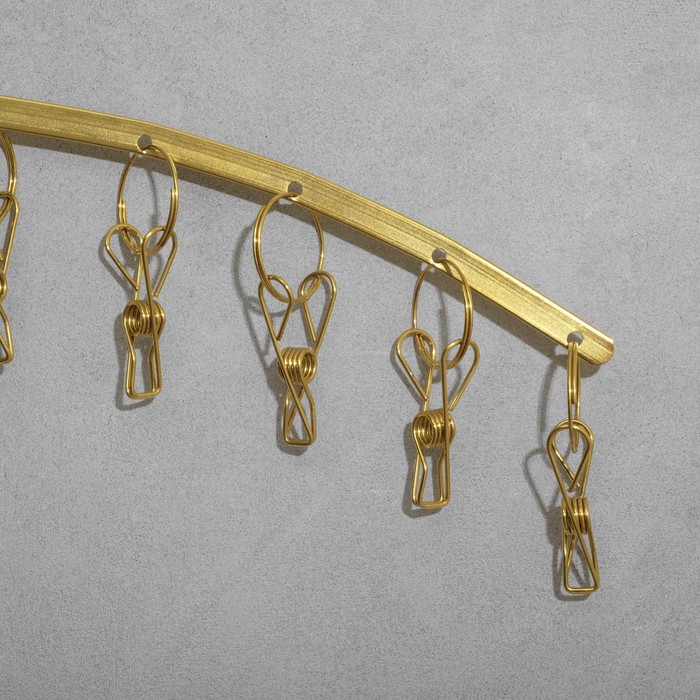 Вешалка для аксессуаров 10 прищепок, 41,8×23 см, цвет золото - фото 1891621293