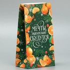 Пакет без ручек «Мечты обязательно сбудутся», мандарины, 10 х 19.5 х 7 см, Новый год - Фото 3