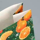 Пакет без ручек «Мечты обязательно сбудутся», мандарины, 10 х 19.5 х 7 см, Новый год - Фото 5