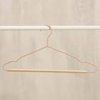 Плечики - вешалка для одежды LaDо́m Laconique, 41.5×22.5×1 см, розовые - Фото 5