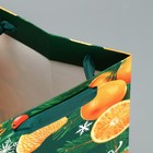 Пакет под бутылку, треугольный «Новый год», 13 × 32 × 11.3 см - Фото 5