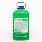 Универсальное моющее средство для полов и поверхностей Восток ЭКОНОМ 5 л - Фото 1