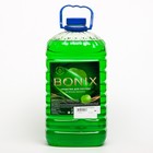 Моющее средство для мытья посуды Bonix, зеленое яблоко 5 л - фото 319629805