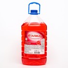 Моющее средство для мытья посуды Италмас, лесная земляника 4 л - Фото 1