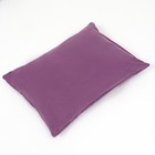 Лежанка-диван, 45 х 35 х 11 см, фиолетовая - фото 6996175