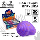 Растущие игрушки «Магия моря», МИКС - Фото 1
