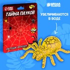 Растущие игрушки «Тайна пауков» - фото 10670128