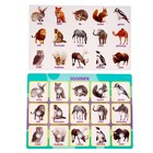 Игра на липучках «‎Животные зоопарка»,‎ по методике Г. Домана - фото 3275142
