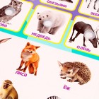 Игра на липучках «‎Животные зоопарка»,‎ по методике Г. Домана - фото 3275144