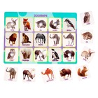 Игра на липучках «‎Животные зоопарка»,‎ по методике Г. Домана - фото 3275145