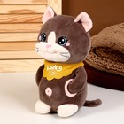 Мягкая игрушка «Кот», с карманами, 24 см, цвет коричневый 9483068 - фото 16783782