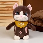 Мягкая игрушка «Кот», с карманами, 24 см, цвет коричневый 9483068 - фото 16783784
