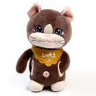 Мягкая игрушка «Кот», с карманами, 24 см, цвет коричневый 9483068 - фото 16783785