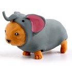 Антистресс сквиш мялка «Пёсики», с песком, тянучка, в шоубоксе, МИКС - Фото 3