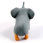 Антистресс сквиш мялка «Пёсики», с песком, тянучка, в шоубоксе, МИКС - Фото 4