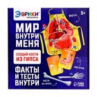 Набор для опытов «Мир внутри меня» - Фото 10