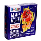 Набор для опытов «Мир внутри меня» - Фото 9