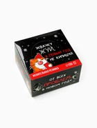 Жевательная резинка «От новогодних проблем», 68 г ( 50 шт.×1.36 г) - Фото 6