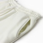 Шорты мужские MIST Men's casual, размер 52, цвет молочный - Фото 2