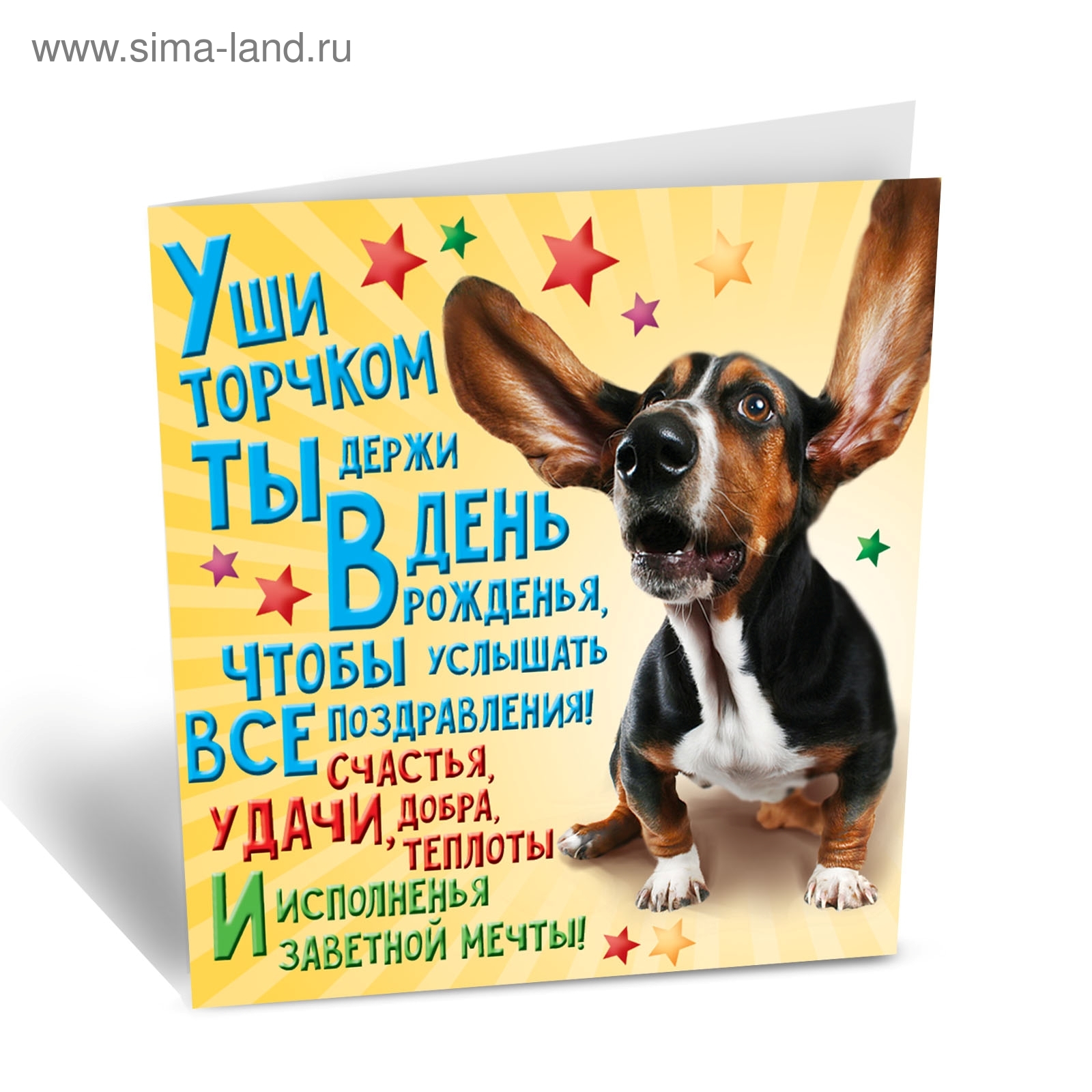 Живые открытки с Днём рождения с собаками 2023